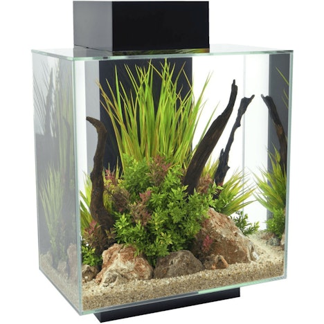 Fluval Edge 2.0 46L schwarz mit 69,01€ Rabatt