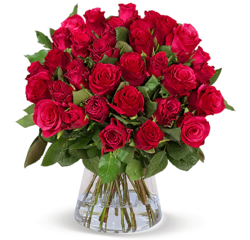 44 rote Rosen für 25€ - 50cm Länge und 7-Tage-Frische-Garantie