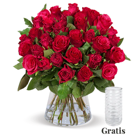 25 rote Rosen für 25€ - inklusive Vase, 50cm Länge