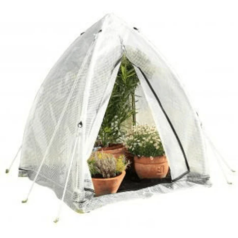 Aktion: Bio Green Tropical Island M 65,17€ günstiger