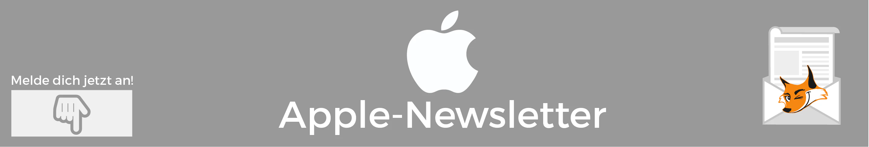 Newsletter-Embedding-05