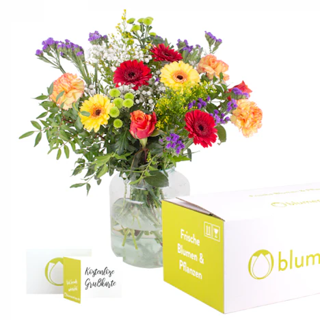 Blumenstrauß "Frühlingsgruß" für 28€ - Chrysantheme, Nelken, Rosen, Schleierkraut und mehr