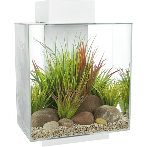 Fluval Edge 2.0 46L weiß mit 50,00€ Ersparnis