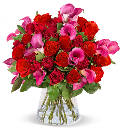 Rosenarrangement Tropical Love für 25€ - 15 rote Rosen + 15 pinke Calla