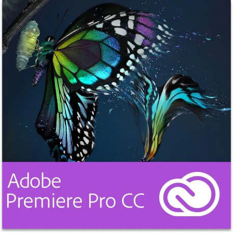 Adobe Premiere Pro: Ultimate Beginner Course kostenlos – über 5 Stunden Tutorial